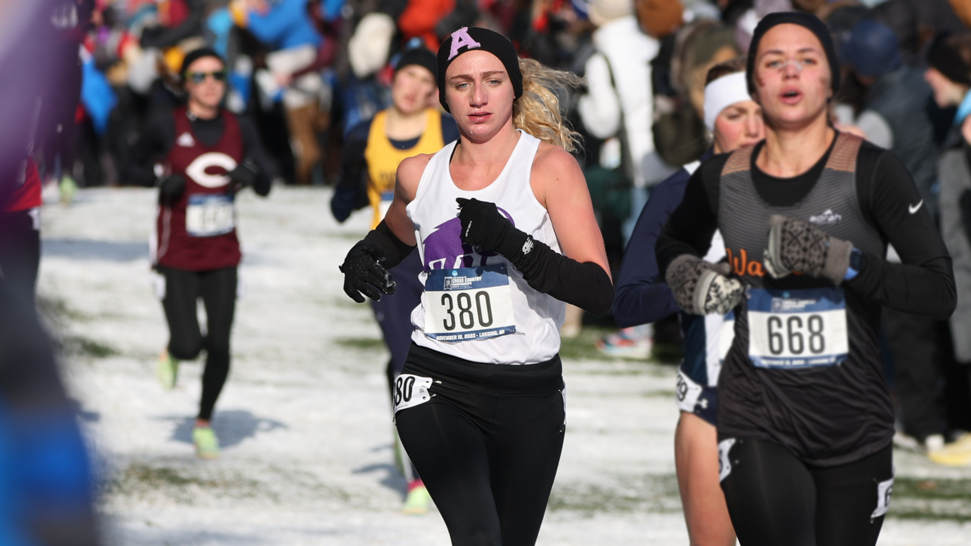 Cross Country Ends Season Well at NCAA Championships