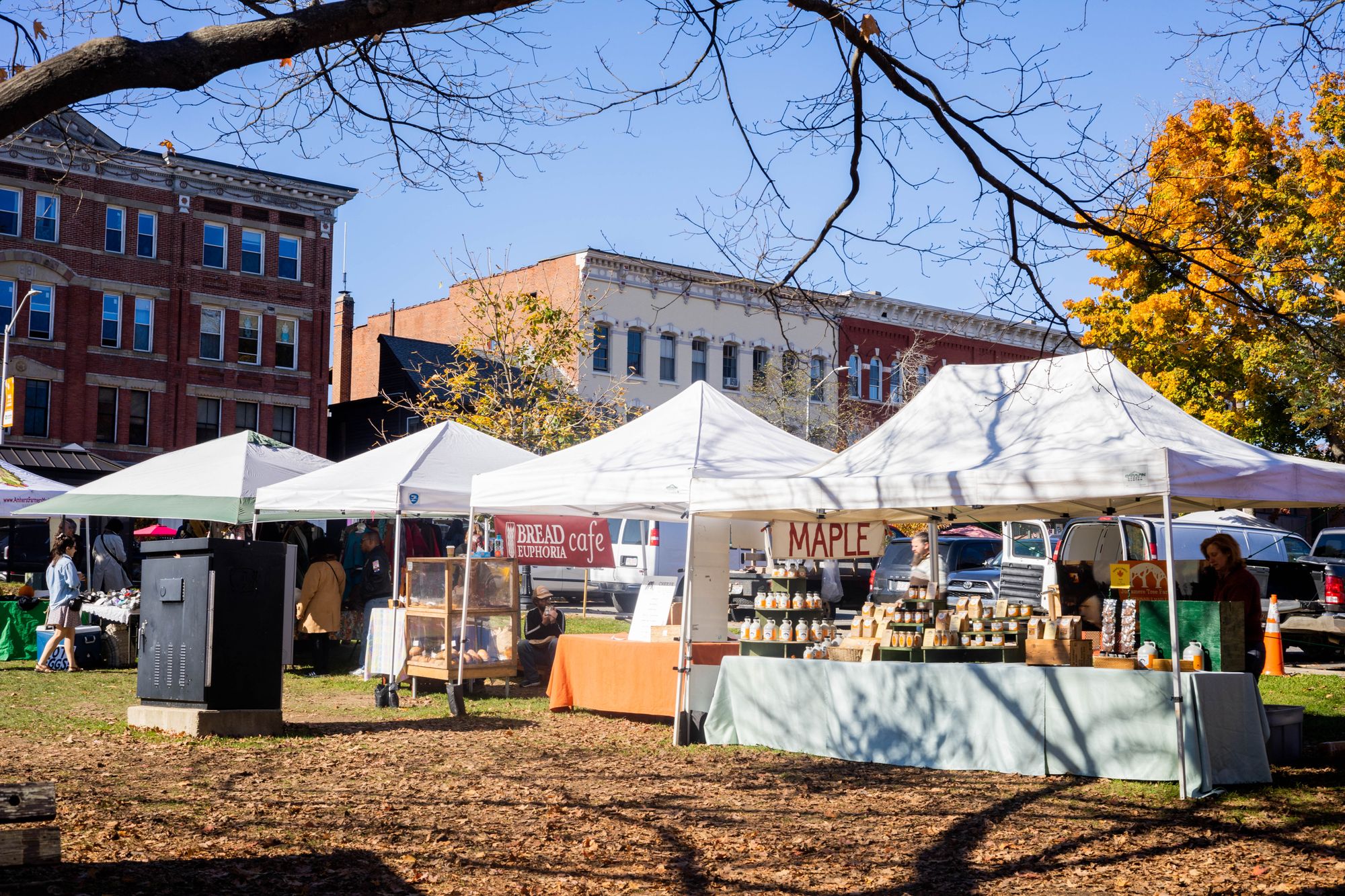 Photo Series: Fall and Foliage at Amherst