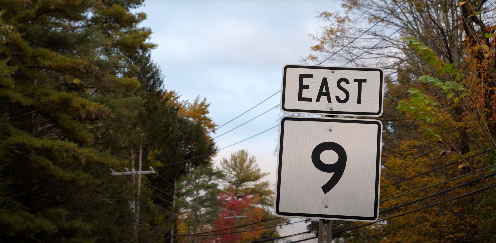 The Road to Route 9: Reflections on 23rd Anniversary