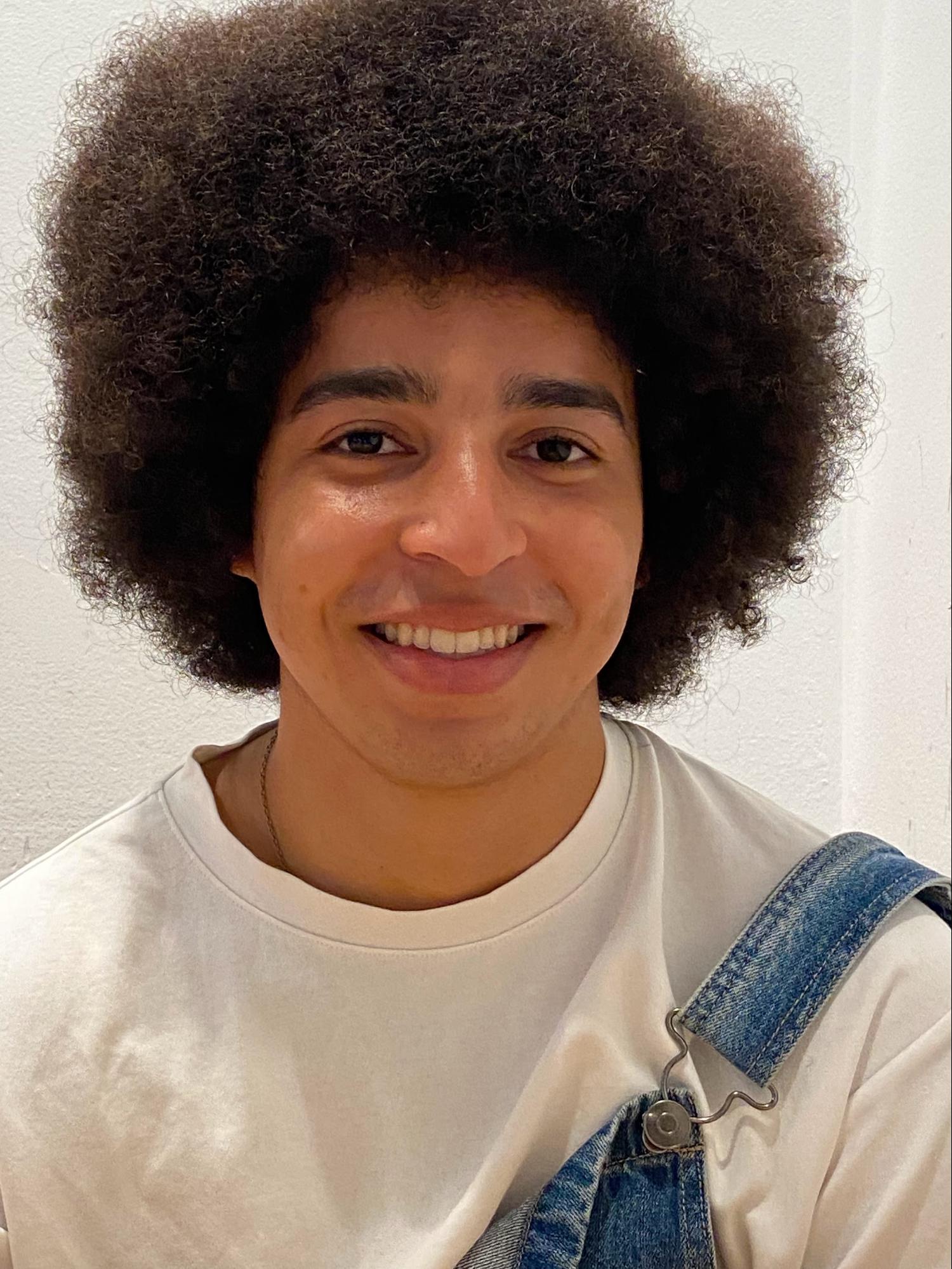 Thoughts on Theses: Diego Duckenfield-Lopez