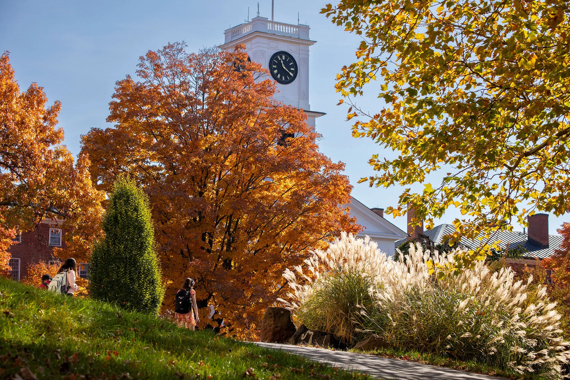 Satire: College Unveils New Major “Strategic Illusionism” Beginning Fall 2025