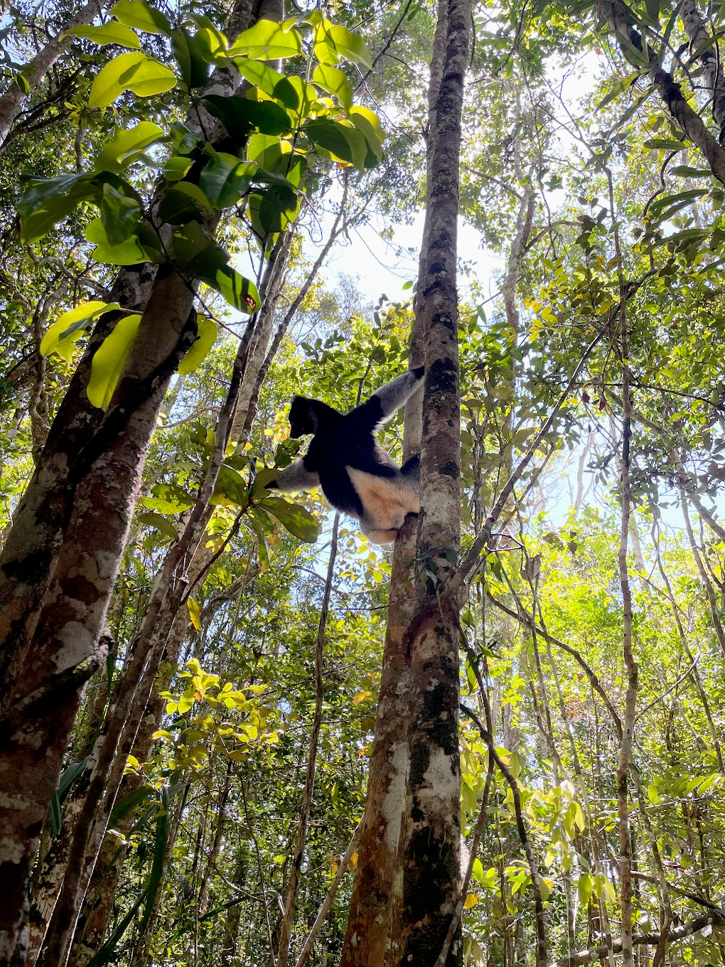 Amherst Adventures Abroad: Anya Hardy-Mittell ’26