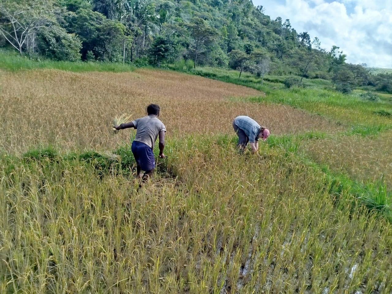 Amherst Adventures Abroad: Anya Hardy-Mittell ’26