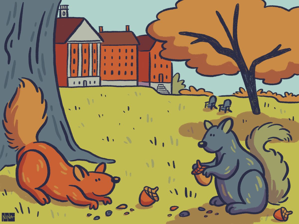A Squirrely Alliance for Campus Sustainability