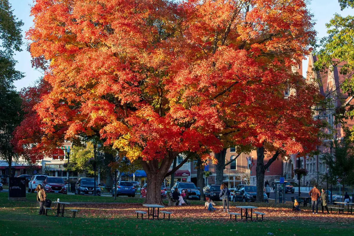 Mammoths Read: Fall Book Recommendations