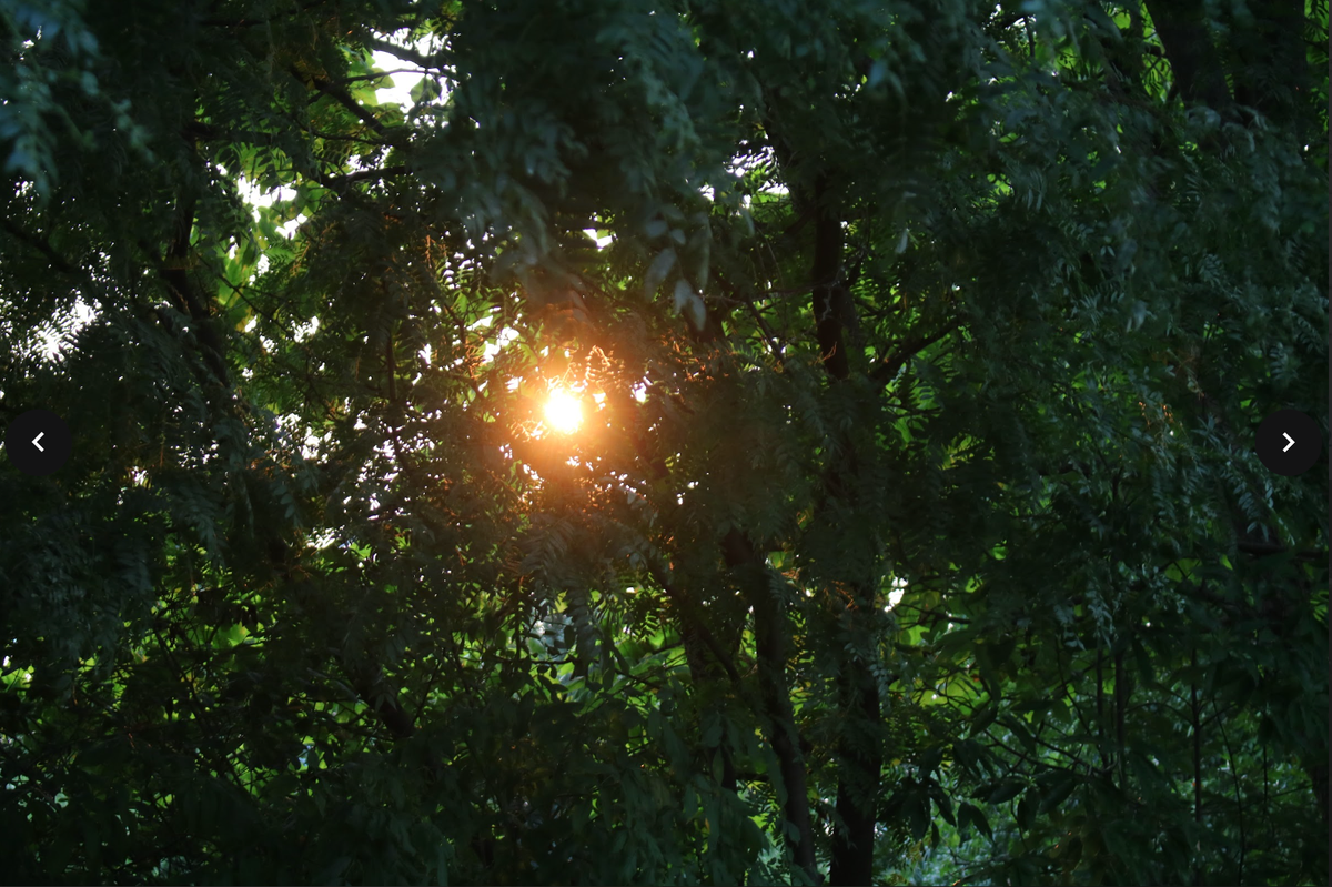 The Indicator x The Student: “Haircut”