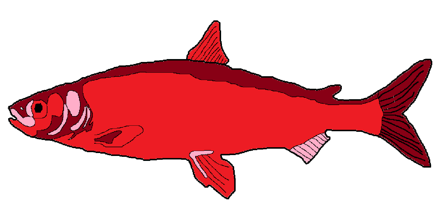 Chain of Events — Wednesday, April 1, 2026