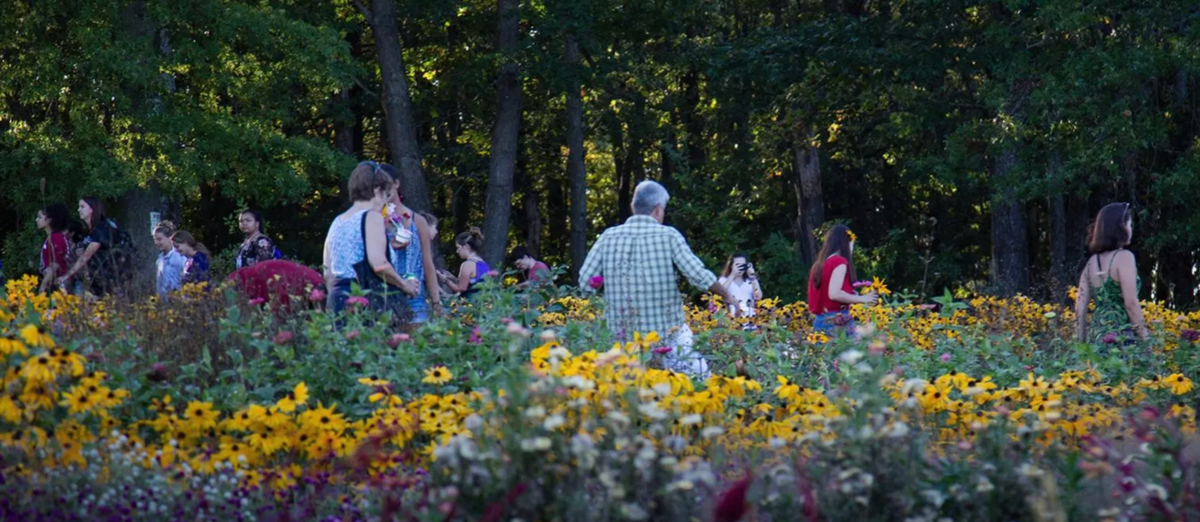 Stop and Smell the Flowers: A Student Guide to the Amherst Outdoors