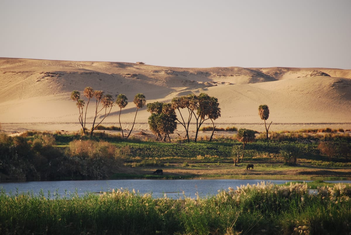 North Africa in the Eyes of Paul Bowles and Tayeb Salih