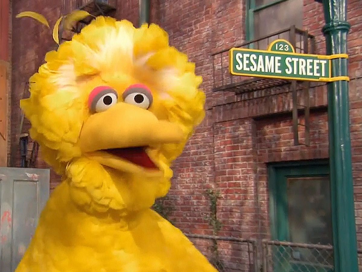 The World, Seen: On Beauty and Big Bird