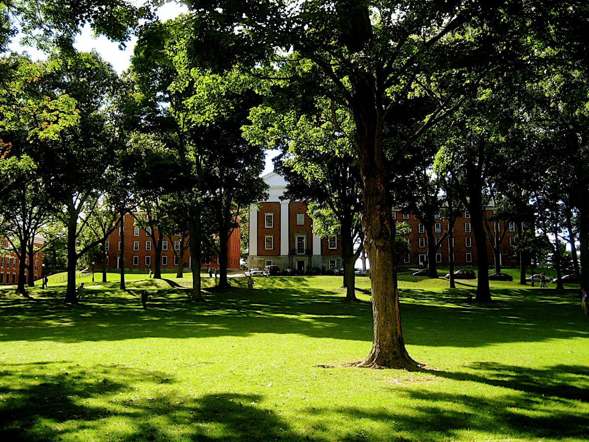 Constitutional Amendments, Elections, Practice Rooms, Picnic Tables and Hammocks.