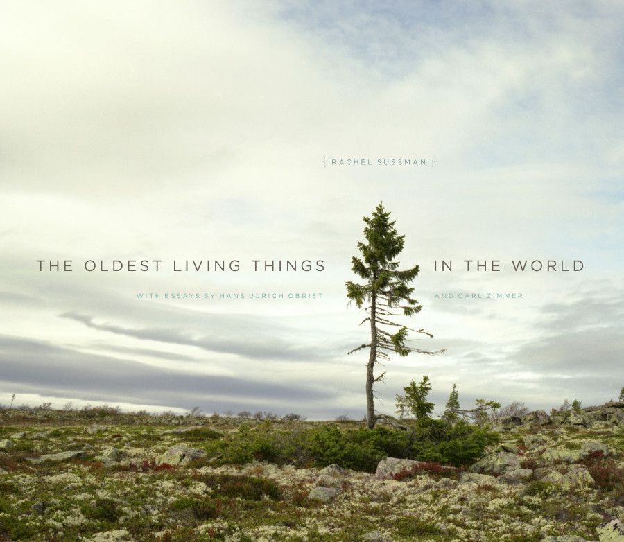 Rachel Sussman Speaks on “The Oldest Living Things in the World”