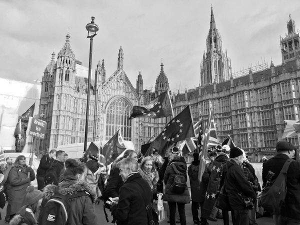 Brexit at Home: How the Politics of Britain Affect Students