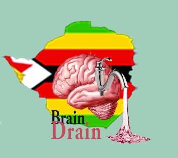 Zed And The Brain Drain