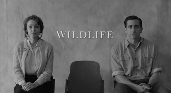 Paul Dano’s Directorial Debut in “Wildlife” Misses the Mark
