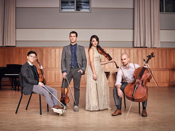 Q&A: Cellist of Dover Quartet Reflects on Career and Life