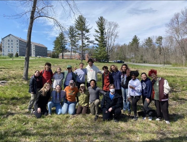 Community “Rewilds” Merrill Green With Native Plants