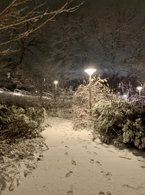 Festive Ideas to Wish Away Winter Worries