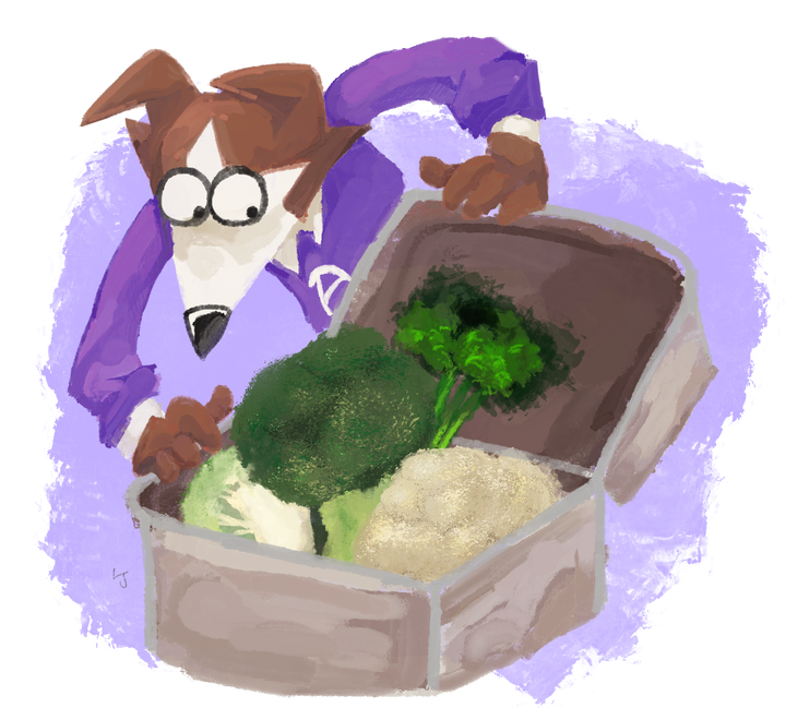 Quick Questions: Where Did the Broccoli Go?