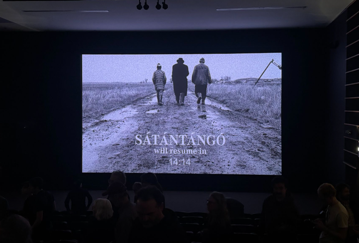 Taking a Deep Cinematic Plunge into “Sátántangó”