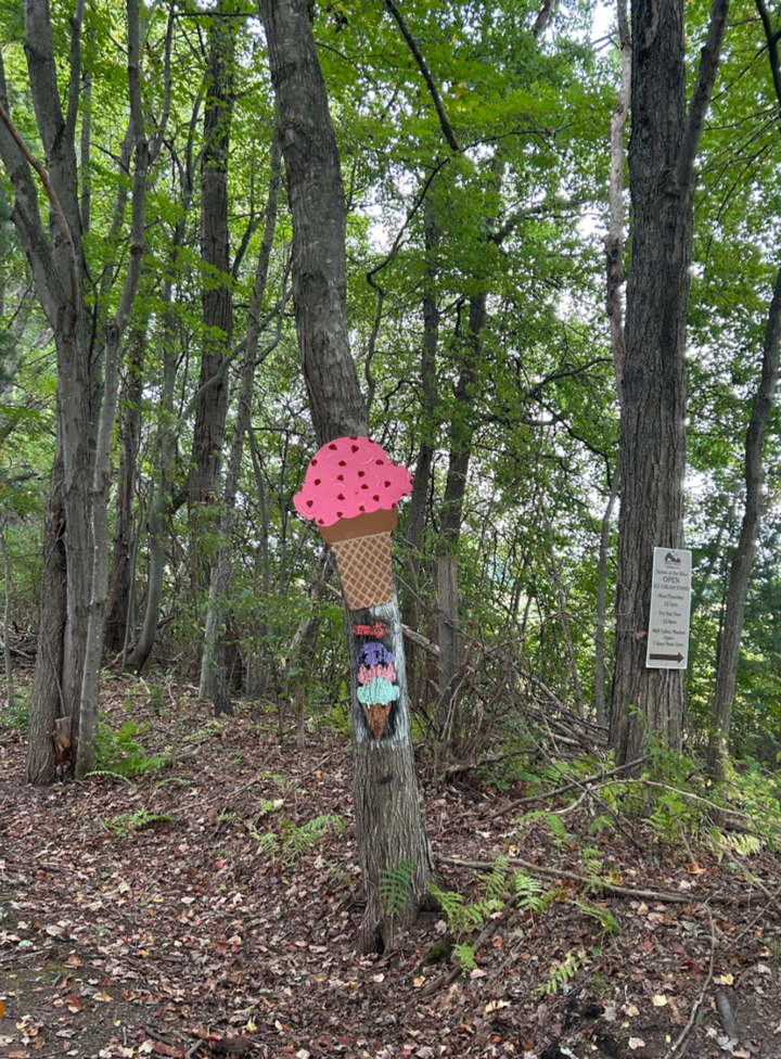 How to Make the Most of the Rail Trail