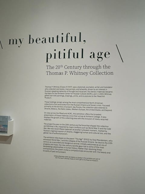 The Timely, Curated Works of ‘My beautiful, pitiful age’