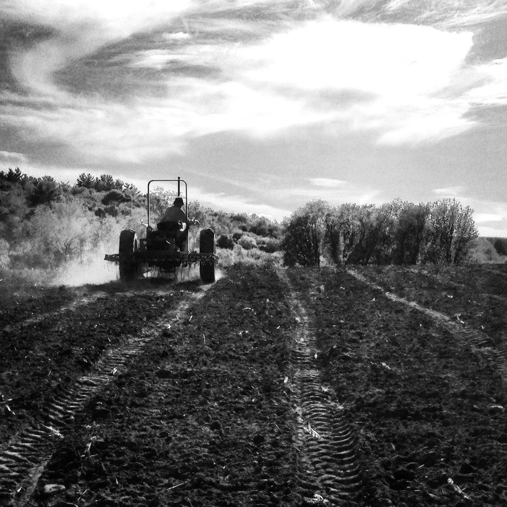 Farm to Table: A Farmer's Perspective
