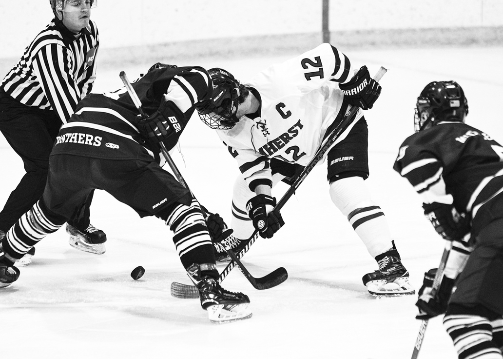 Men's Hockey Begins Climbing out of the Cellar