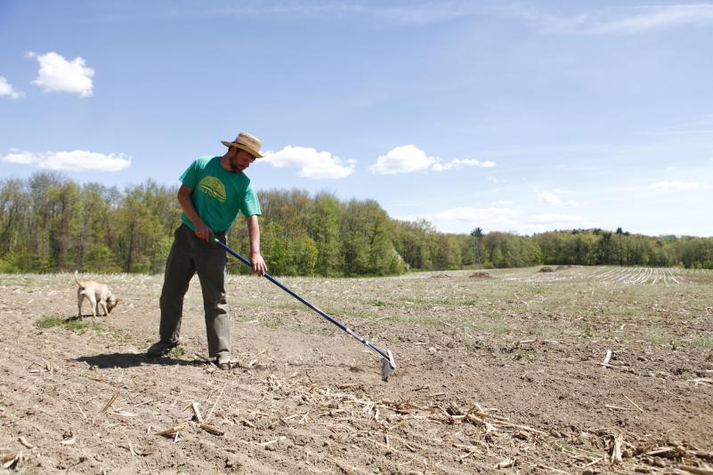 Book and Plow: Farm to Val Table