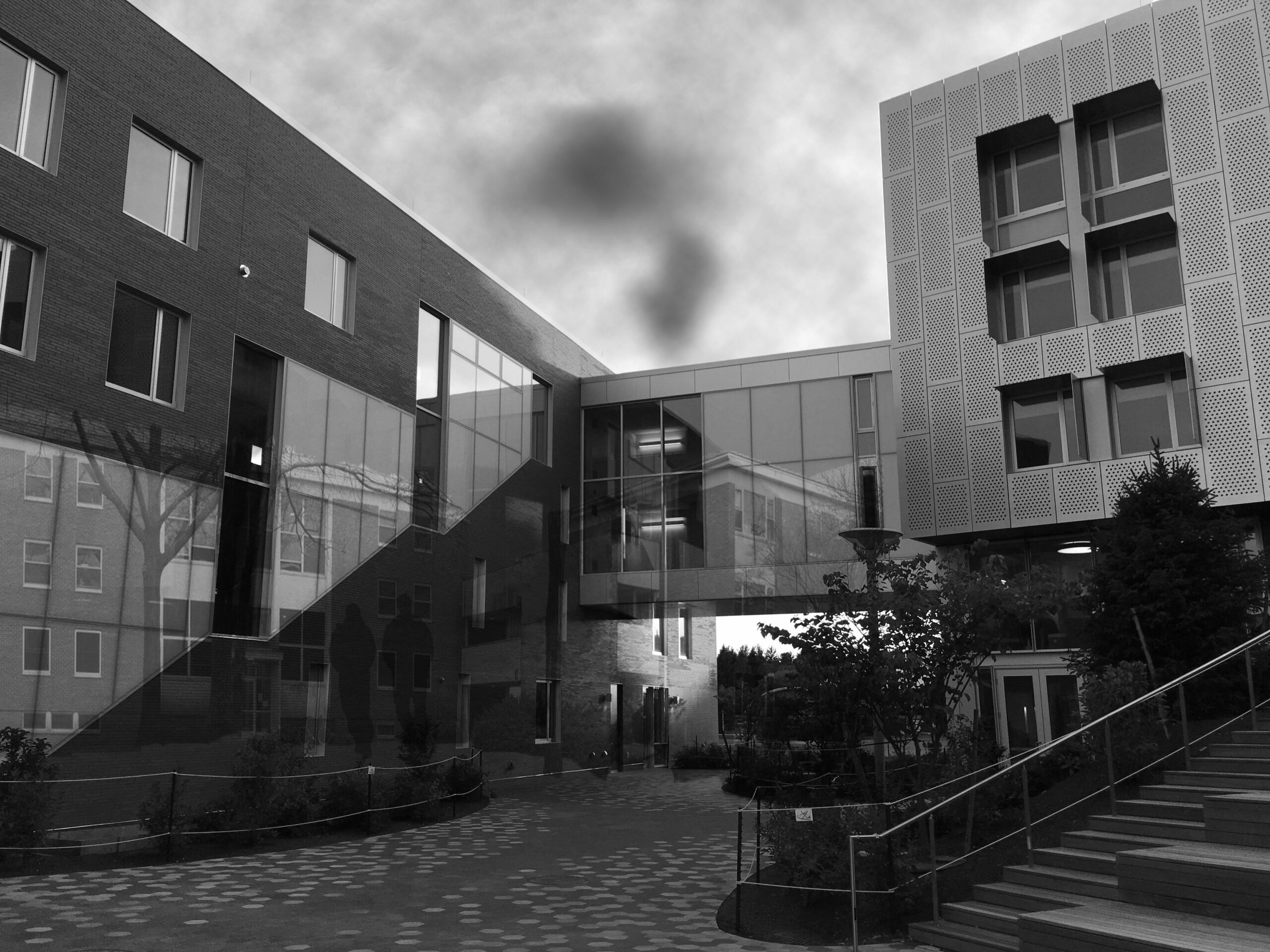 A History of the Social Dorms: From Inception to Demolition