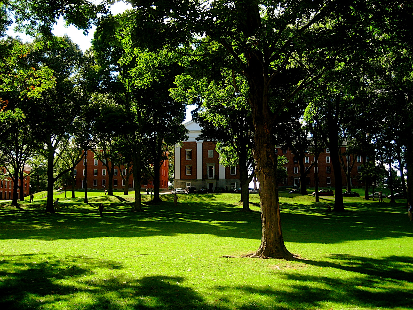 Constitutional Amendments, Elections, Practice Rooms, Picnic Tables and Hammocks.