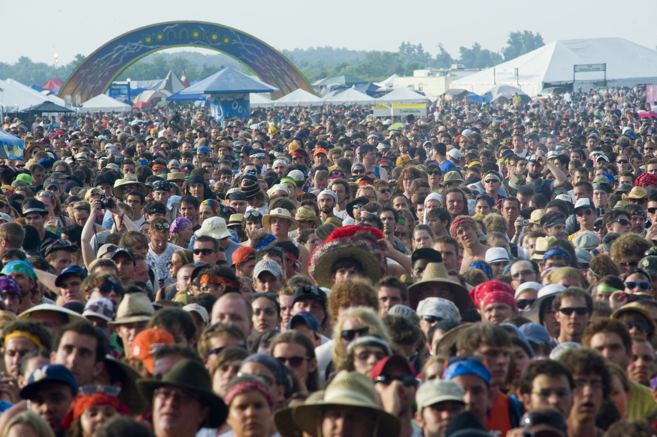 Looking Forward to Summer Festivals