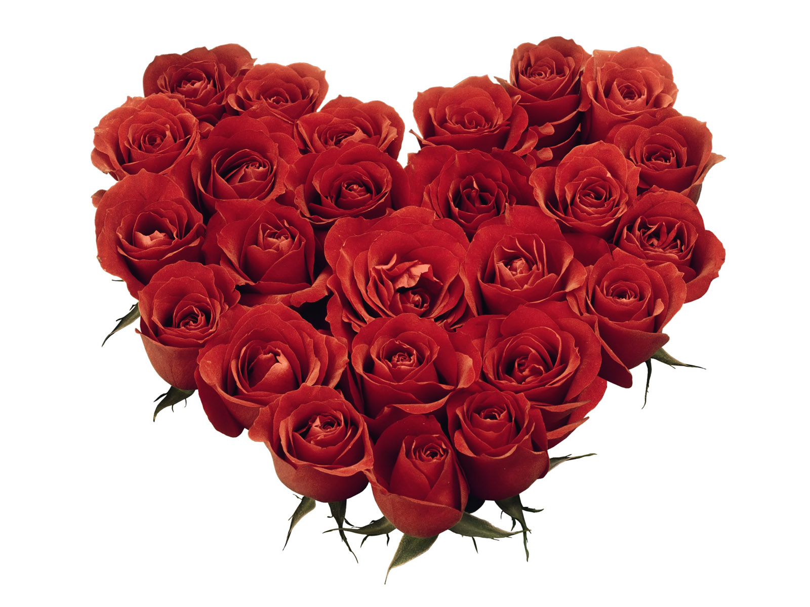 Valentine’s Day: How to Not Dread It